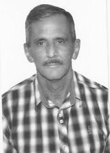 Zé Periquito