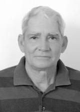 Dalmi Pi