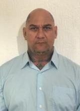 Falcão