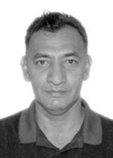 Professor Bibiano