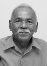 Barra Nova