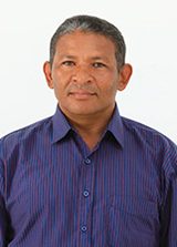 Azulão
