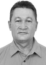 Professor Nelson Ferreira