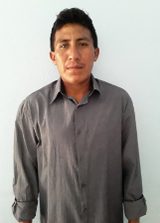 Ronaldo Kulina