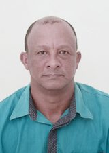 Pita Araújo