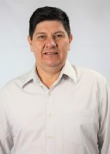 Professor Erlei