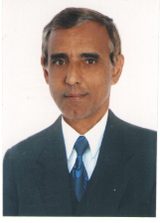 Ze Renato