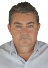 Gato do Andrequicé