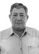 Dino Taliari