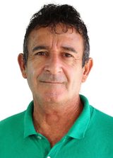 Gato da Corrida