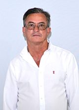Facão