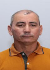 Fininho do Macaco