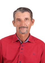 Celso Furlan