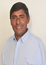 Chico Bento