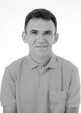 Raminho de Ivo