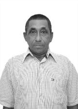 Paulo Curador