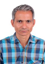 Lino do Jornal