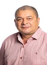 Paulão 100%