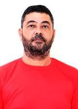 Elinho Japonês