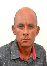 Ribinha