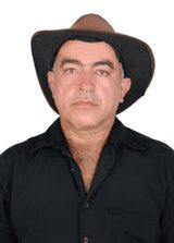 Deco da Roçadeira
