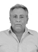 Zizi