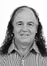 Divino Porquinho