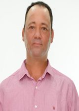 Nelson Alves (Pintim)