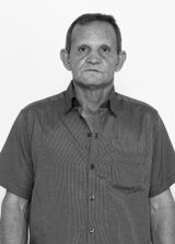Toizinho Catireiro