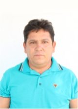Patica