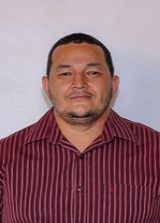 Paulinho do Ipê