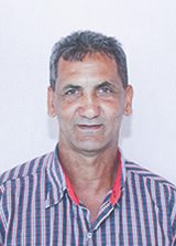 Zé Maloca