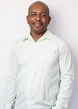 Boi Mecânico