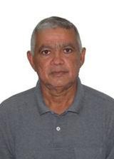 Arapuá de Macau