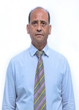 Dr Antonio Neto