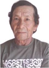 Dário Kulina