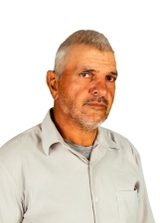 Fofão
