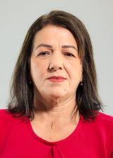 Professora Erineide
