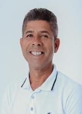 Abelhinha