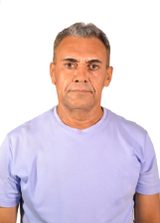 Tonho da Kombi