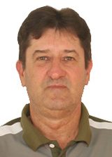 Prof Ivo