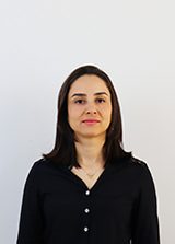 Michele Stradioto