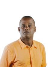 Willis Lençóis Belga