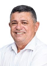 Professor Flavismar