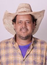 Fernando Rodrigues